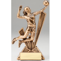 Volleyball Trophy (F) 6"1/2