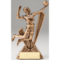 Volleyball Trophy (M) 6"1/2