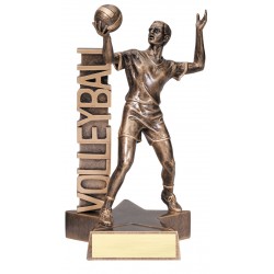 Volleyball Trophy (Male) 6"1/2