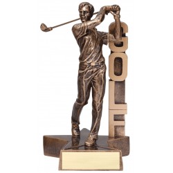 Golf Trophy (Male) 8"1/2