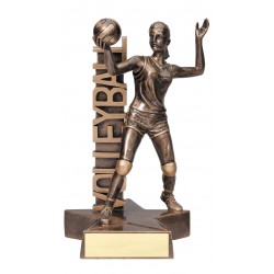 Volleyball Trophy (Female)...