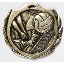 Volleyball Medal 2"1/2