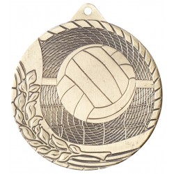 Volleyball Medal 2"