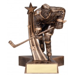 Hockey Trophy (M) 6"1/2