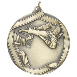 Karate Medal 2"1/4