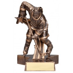 Trophée de hockey (F) 6"1/2
