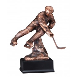 Hockey Trophy 14"