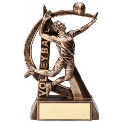 Trophée de volleyball (M)...