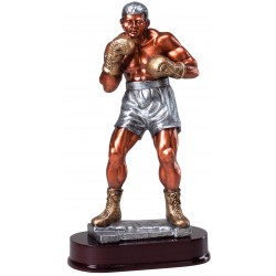 Boxing Trophy 12"1/4