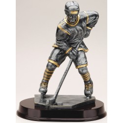 Hockey Trophy 13"